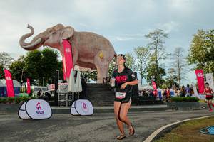 BIB: 
                            <button type="button" onclick="openModal(26529152)" class="btn btn-primary btn-sm float-right btn-popup" data-toggle="modal" data-target=".modal-high-quality">
                        <i class="fas fa-shopping-cart"></i> Add to Cart
                    </button>
                                            <button type="button" onclick="isThisMe(26529152, true)" class="btn btn-success btn-sm float-right btn-popup btn-isme hidden" data-toggle="tooltip" data-placement="bottom" title="นี่คือรูปของคุณใช่ไหม คลิกที่นี่เพื่อเอาเข้าอัลบั้ม">
                        <i class="fas fa-plus"></i> Add to album
                    </button>
                    <button type="button" onclick="isThisMe(26529152, false)" class="btn btn-warning btn-sm float-right btn-popup btn-isnotme hidden">
                        <i class="fas fa-ban"></i> Remove from album
                    </button>